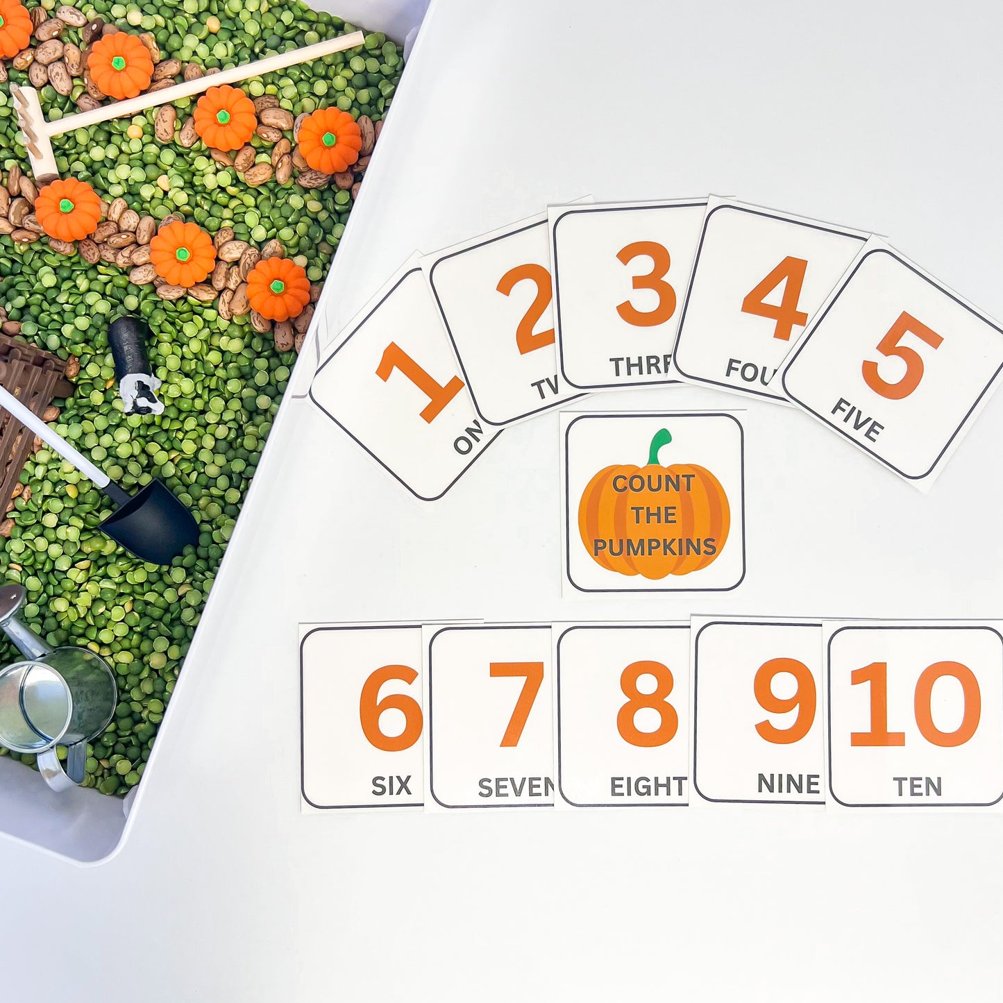 Pumpkin Patch Sensory Bin